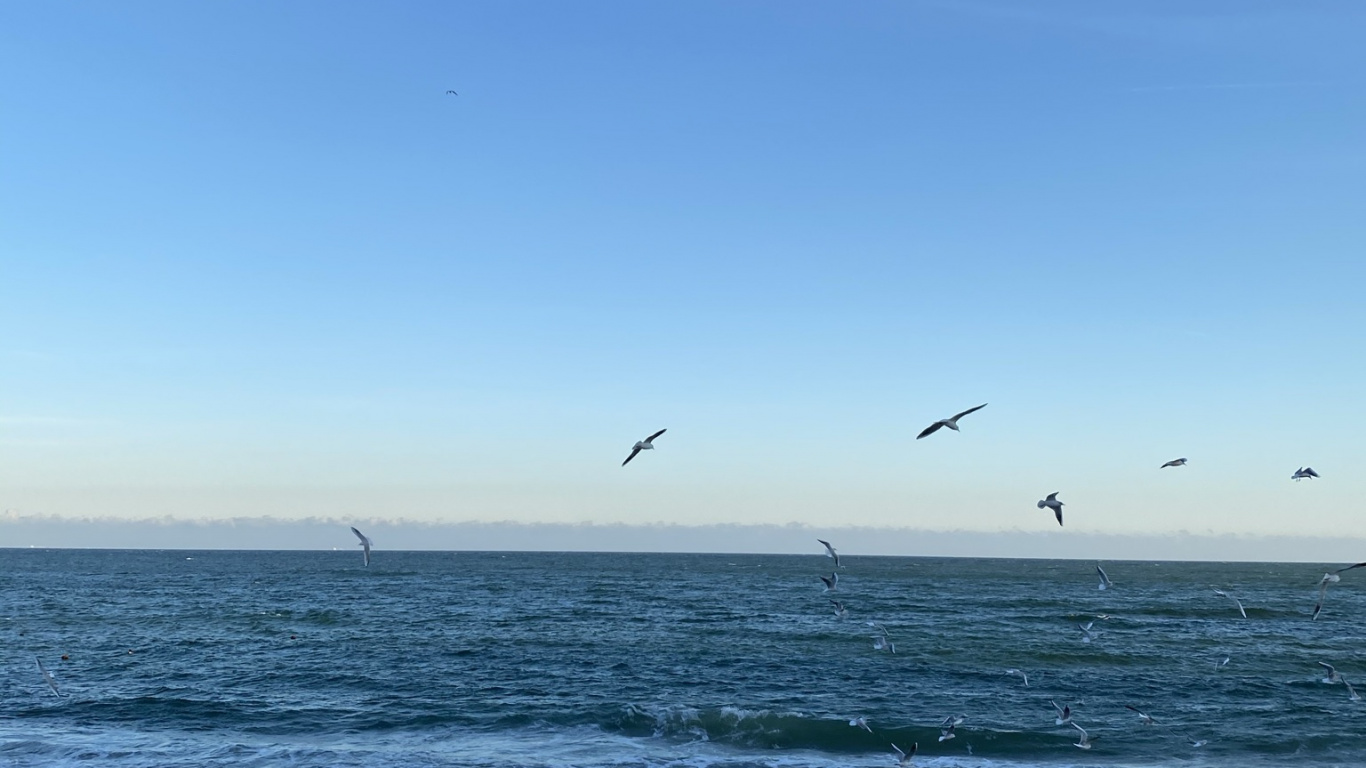 Обои море, пляж, пляж алки, openstreetmap, водоем в разрешении 1366x768