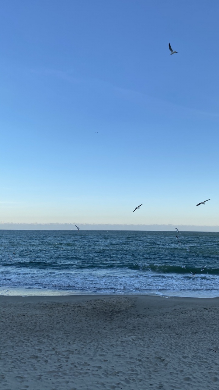 Обои море, пляж, пляж алки, openstreetmap, водоем в разрешении 720x1280