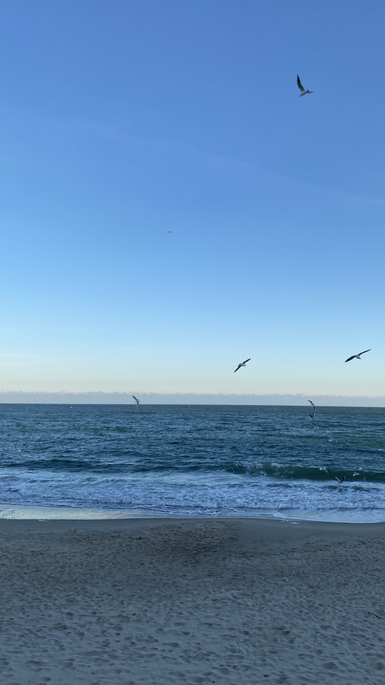 Обои море, пляж, пляж алки, openstreetmap, водоем в разрешении 750x1334