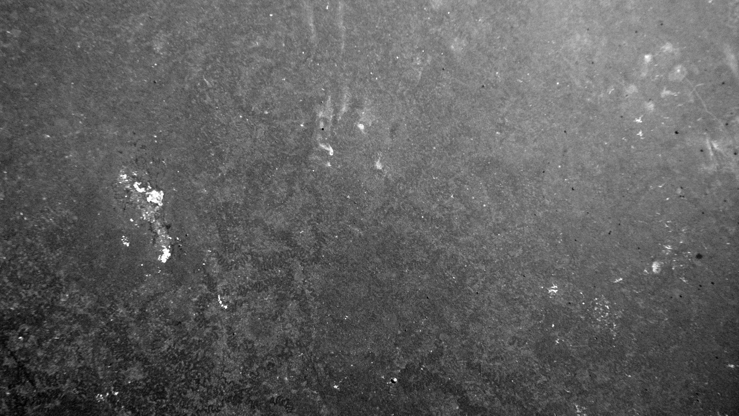 Обои черный и белый, монохромный, черный, вода, атмосфера в разрешении 2560x1440