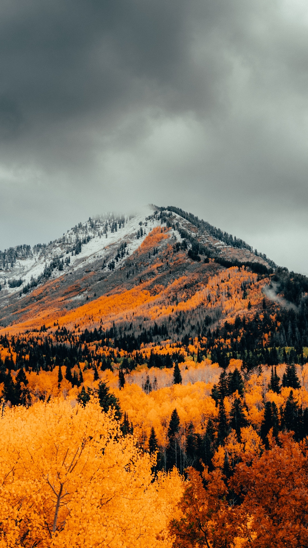 Обои высокогорье, осень, гора, природа, облако в разрешении 1080x1920