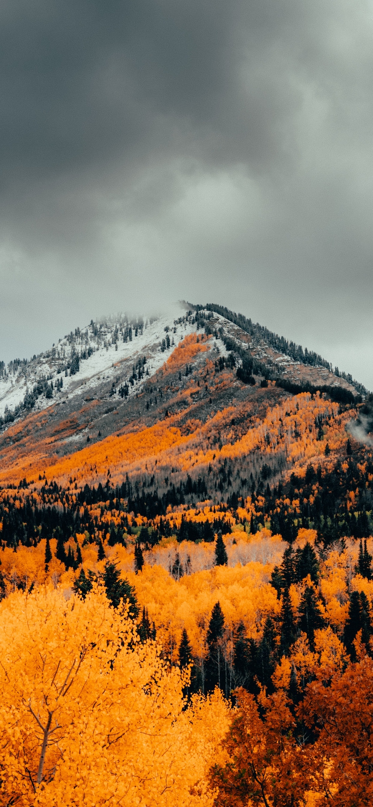 Обои высокогорье, осень, гора, природа, облако в разрешении 1242x2688