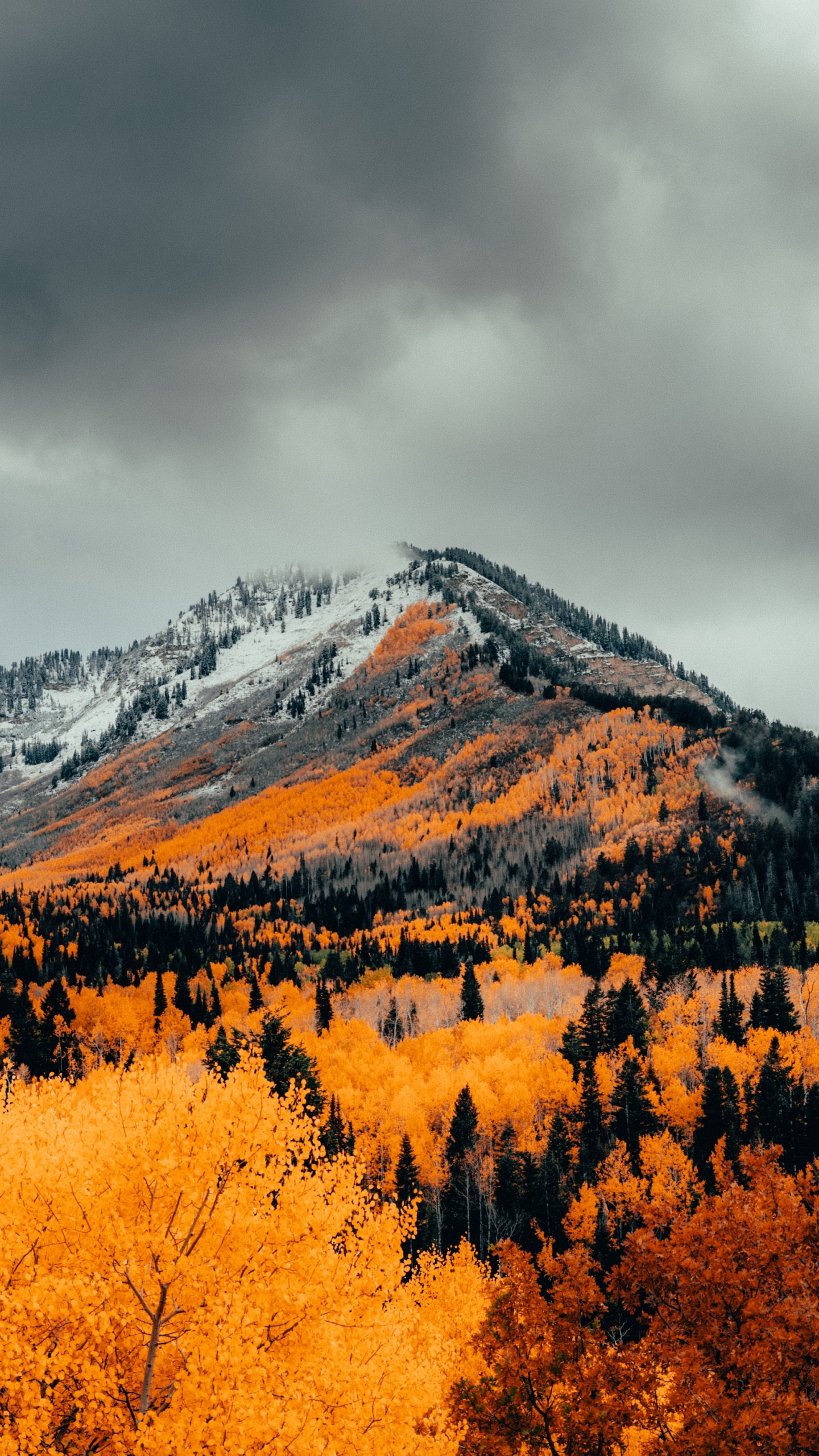 Обои высокогорье, осень, гора, природа, облако в разрешении 1440x2560