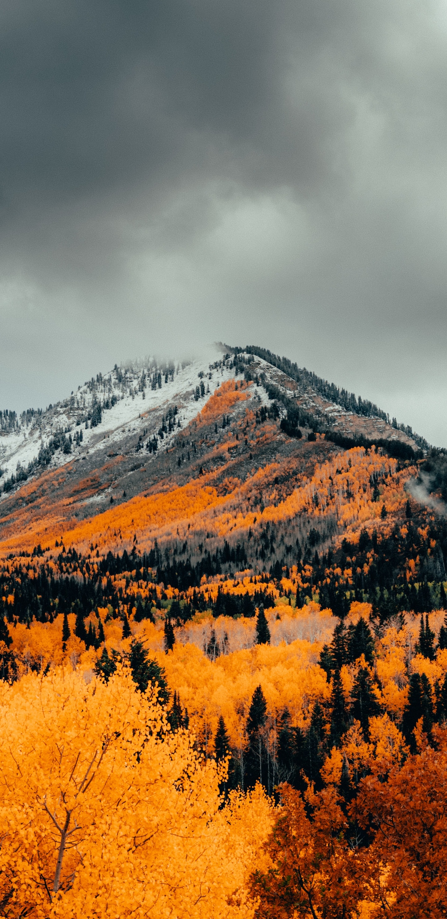 Обои высокогорье, осень, гора, природа, облако в разрешении 1440x2960