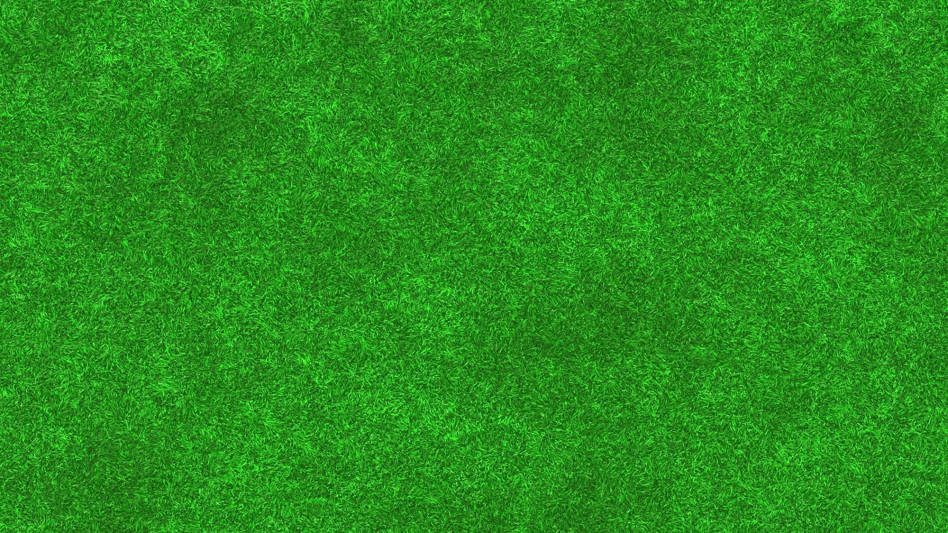 Обои газон, луг, искусственное покрытие, зеленый, сенокосное угодье в разрешении 1920x1080