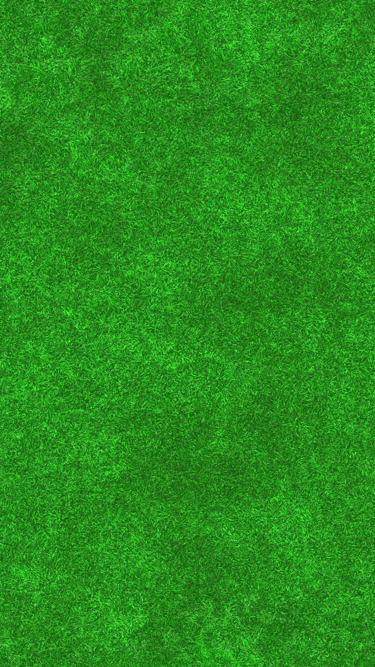 Обои газон, луг, искусственное покрытие, зеленый, сенокосное угодье в разрешении 750x1334