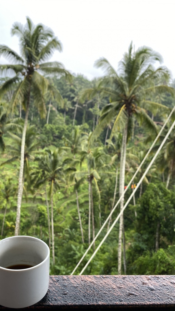Обои Кокос, чашка, растительность, serveware, кофейная чашка в разрешении 720x1280