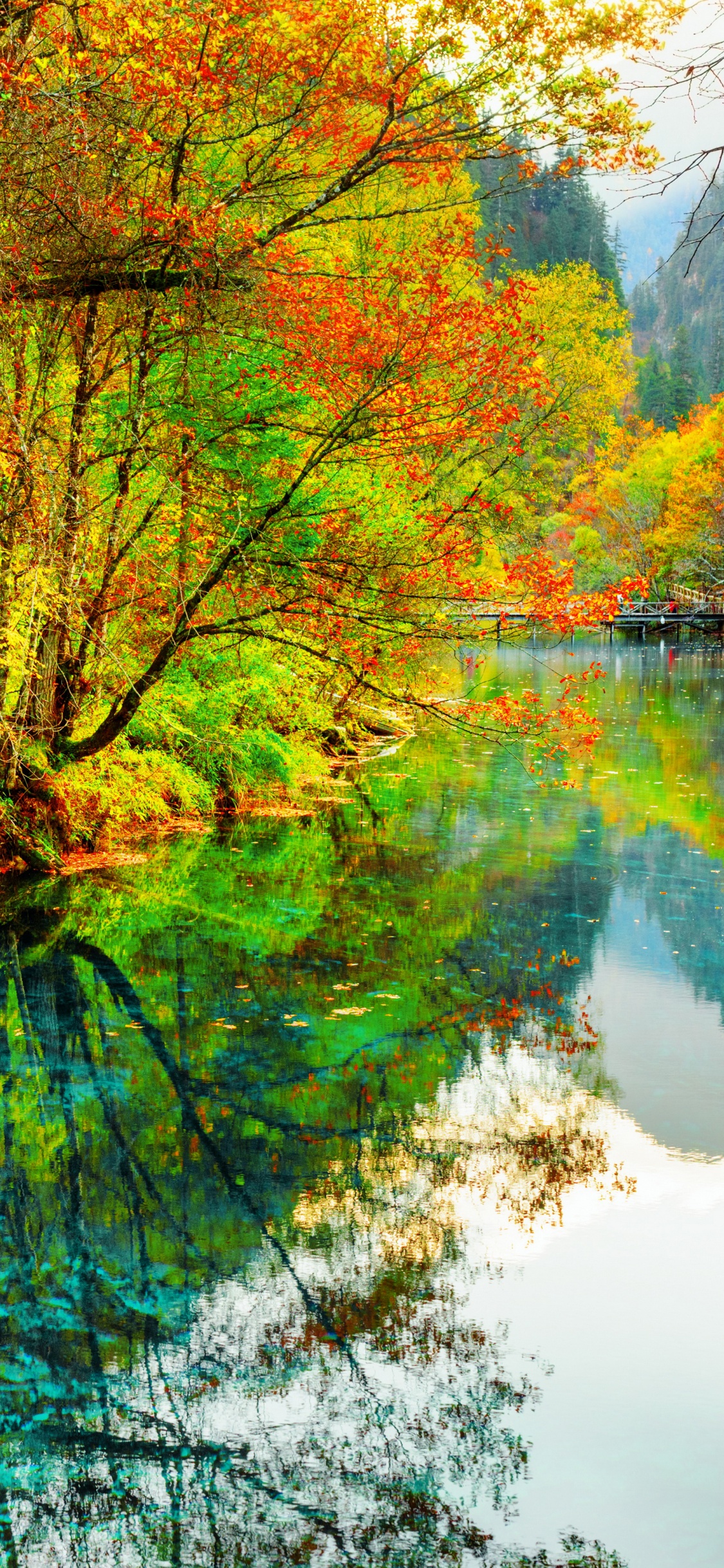 Обои парк, национальный парк, озеро, природа, отражение в разрешении 1125x2436