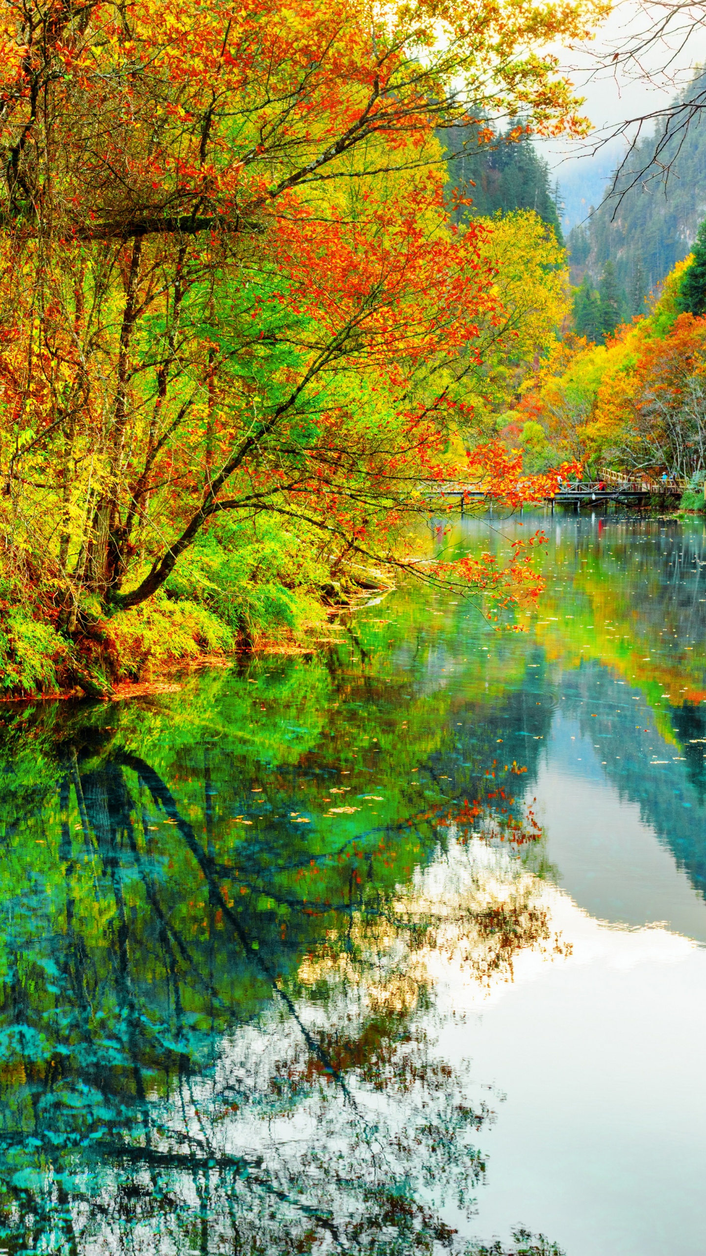 Обои парк, национальный парк, озеро, природа, отражение в разрешении 1440x2560