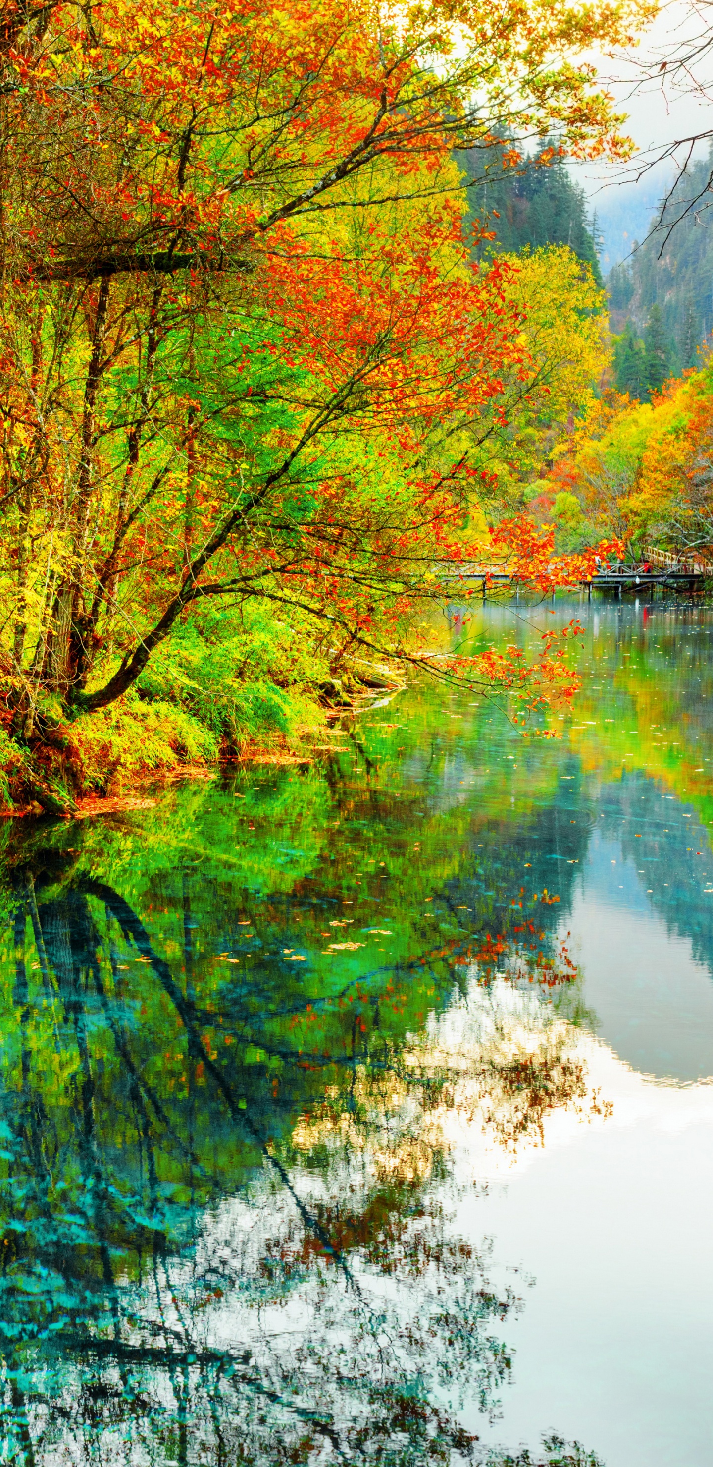 Обои парк, национальный парк, озеро, природа, отражение в разрешении 1440x2960