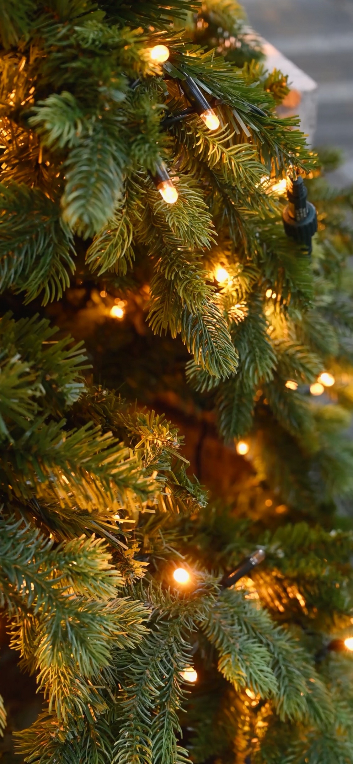 Обои Рождество, елка, Рождественские огни, праздник, рождественский орнамент в разрешении 1125x2436