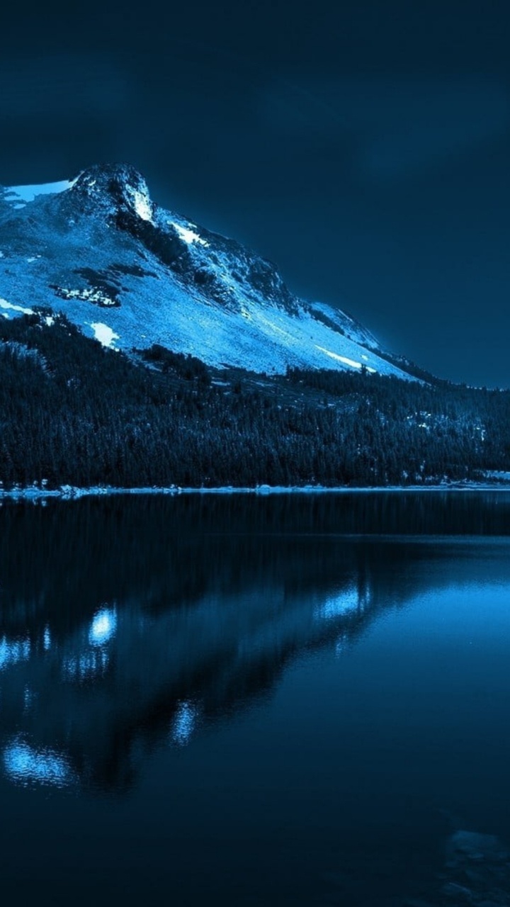 Обои ваш национальный лес, лес, природа, вода, атмосфера в разрешении 720x1280