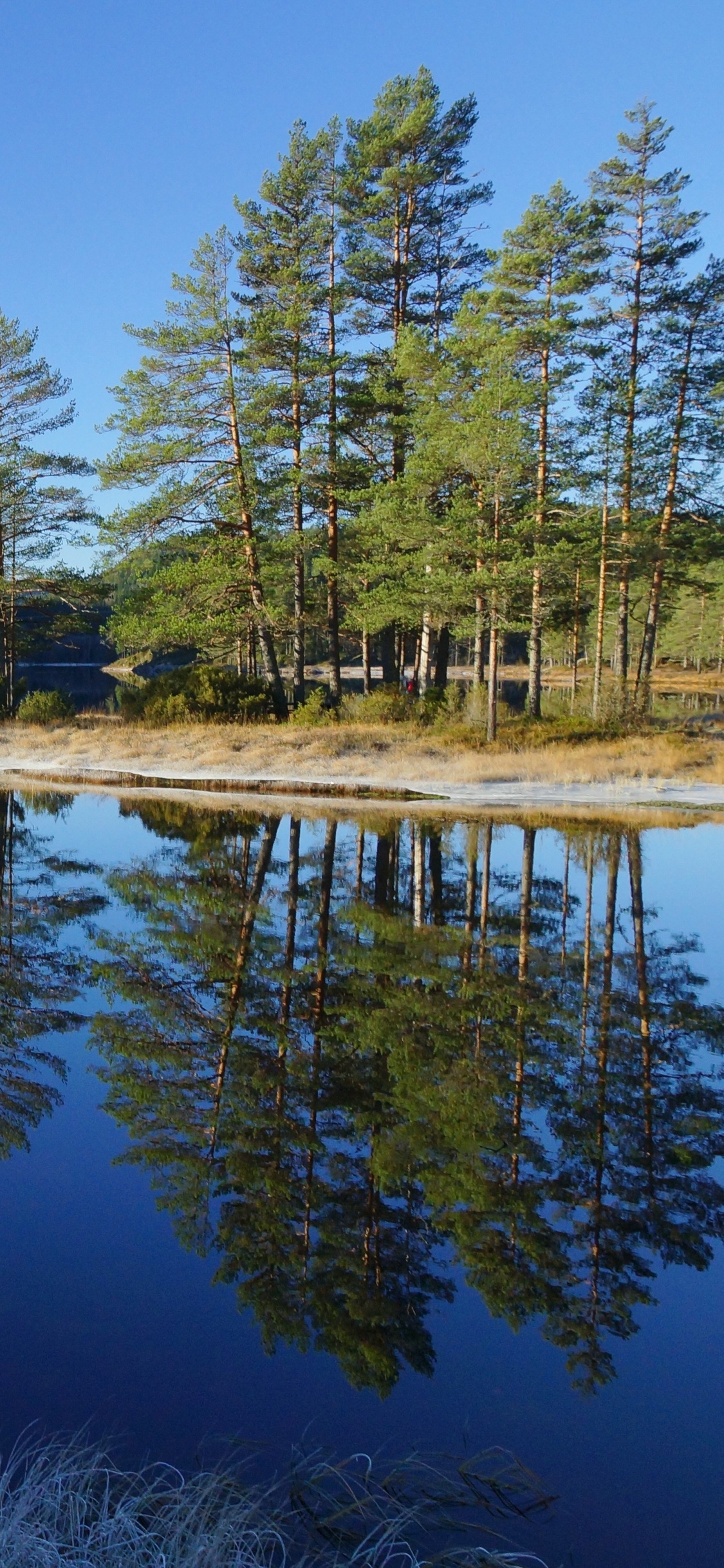 Обои отражение, водоем, природный ландшафт, природа, вода в разрешении 1125x2436