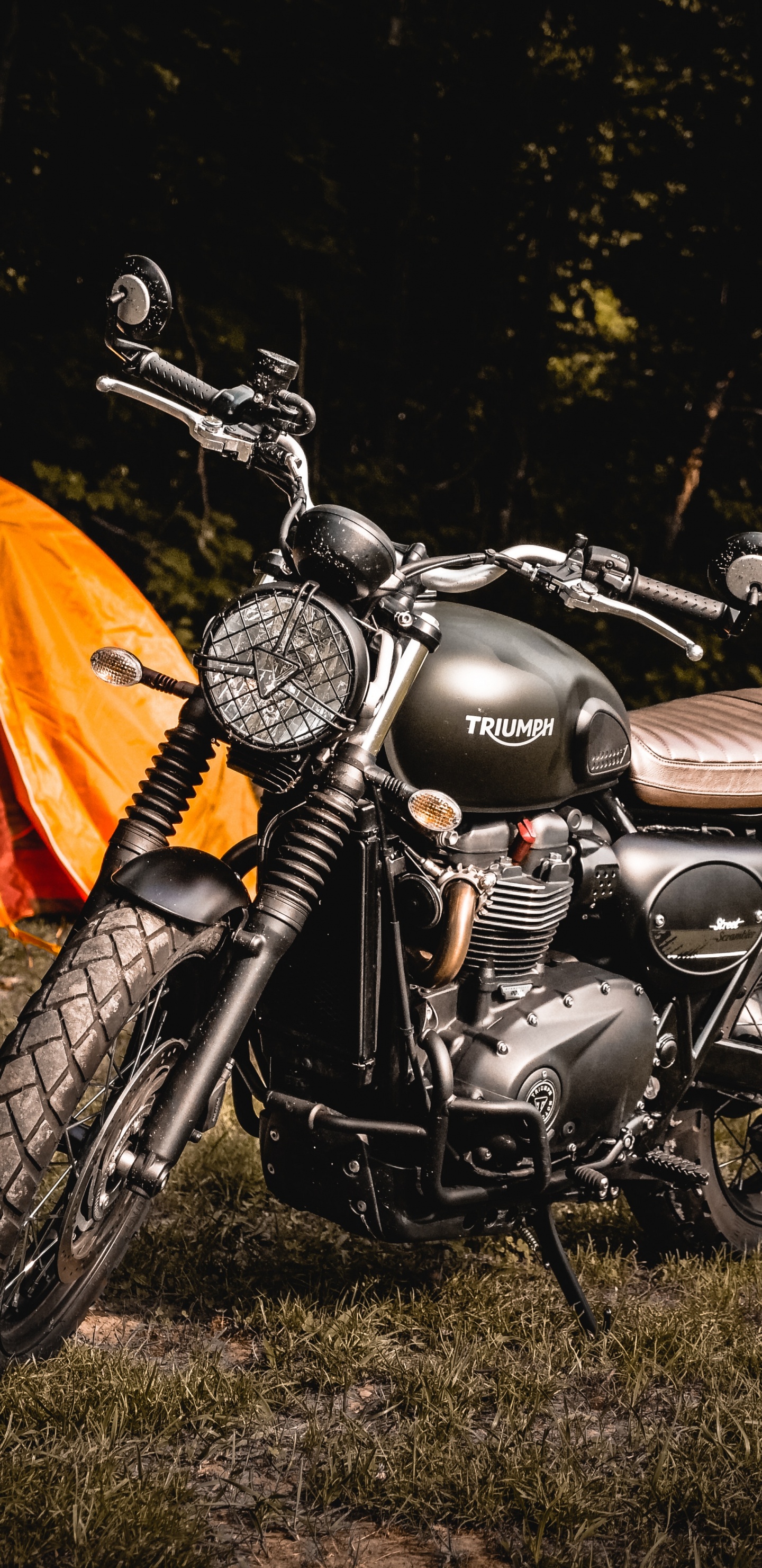 Обои мотоцикл кемпинг, мотоцикл, Кемпинг, палаточный лагерь, Дайтона Бич Неделю Велосипед в разрешении 1440x2960