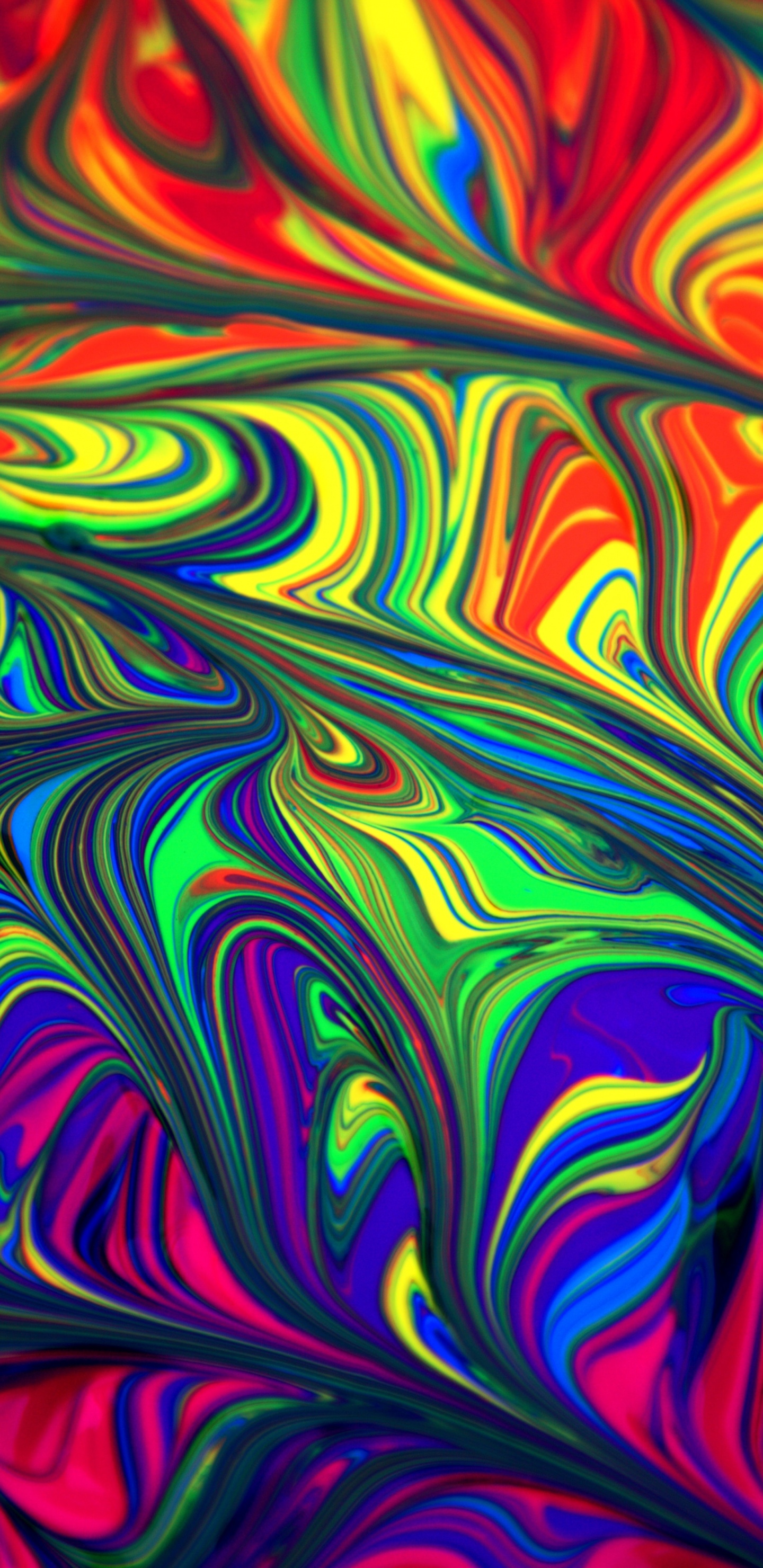 Обои радужный флаг, Обструкцию беспорядков, дизайн, красочность в разрешении 1440x2960