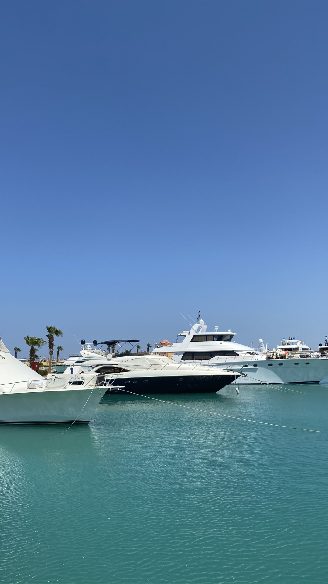 Обои Марина, перевозка воды, паром, лодка, теплоход в разрешении 1080x1920