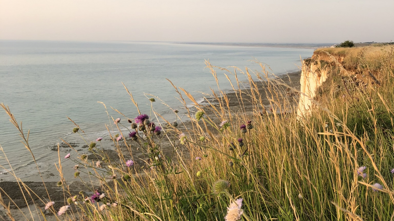 Обои побережье, трава, растительное сообщество, берег, горизонт в разрешении 1366x768