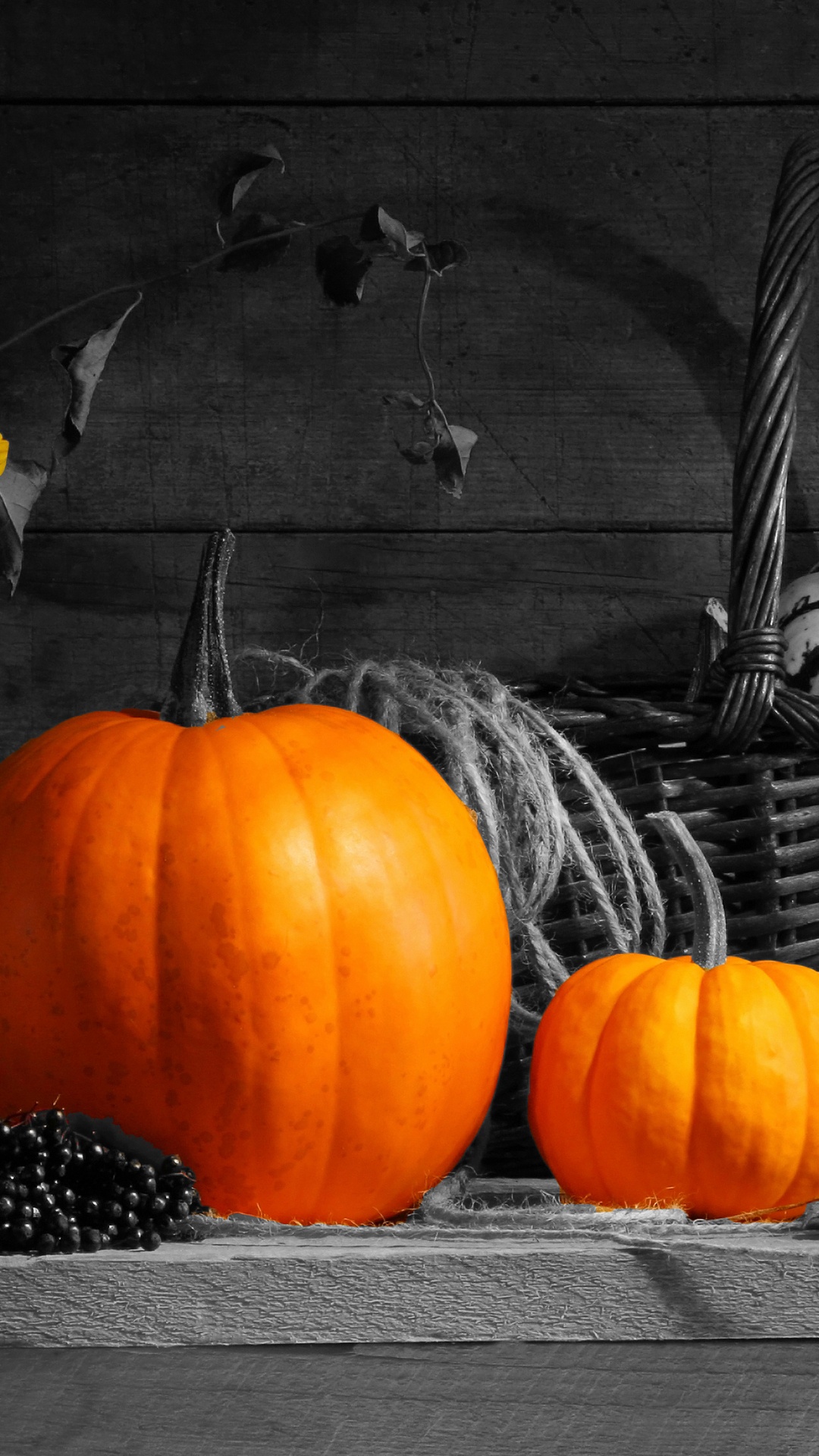 Обои зимний сквош, ребенок, фрукты, счастье, День благодарения в разрешении 1080x1920