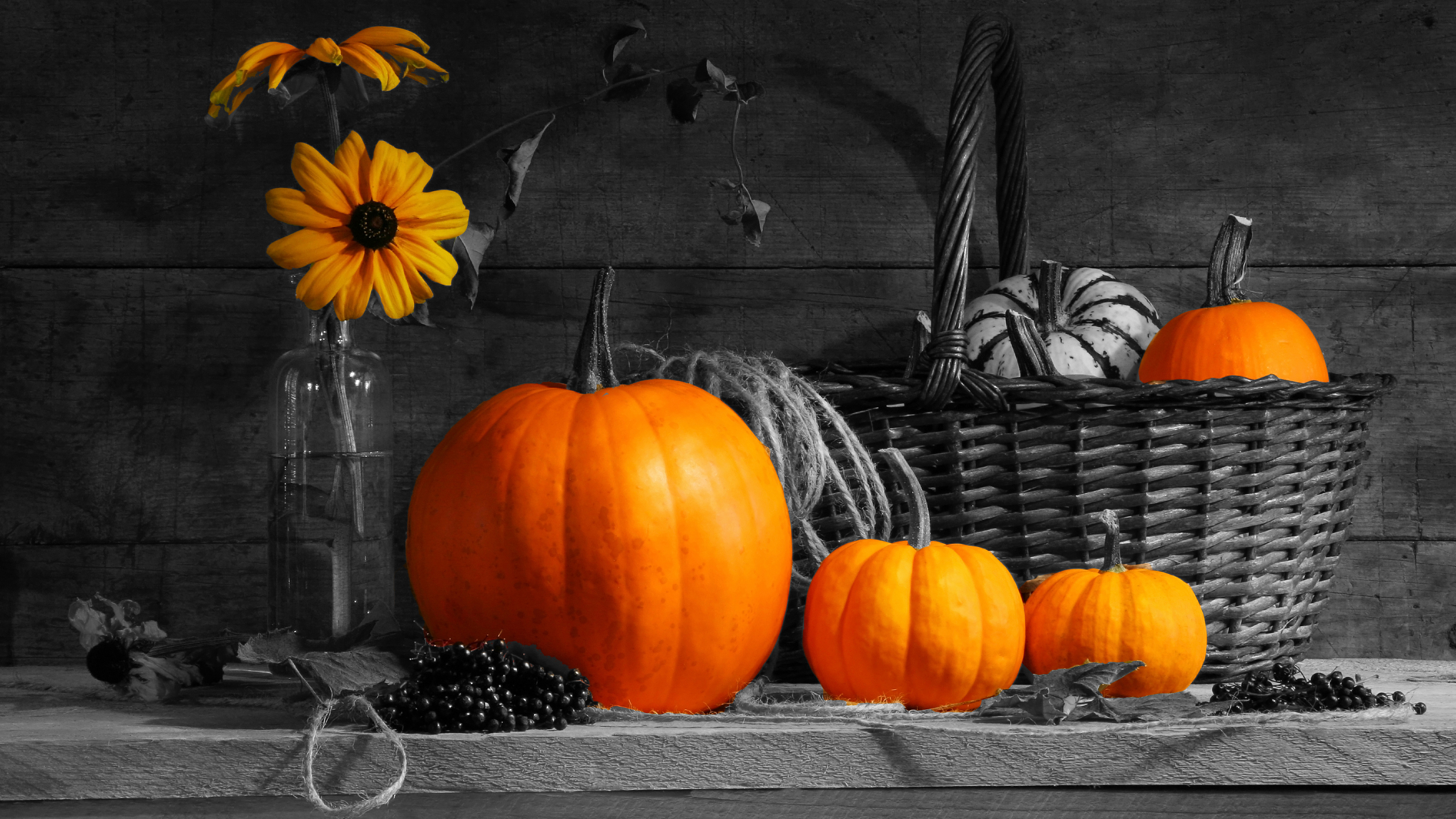 Обои зимний сквош, ребенок, фрукты, счастье, День благодарения в разрешении 3840x2160