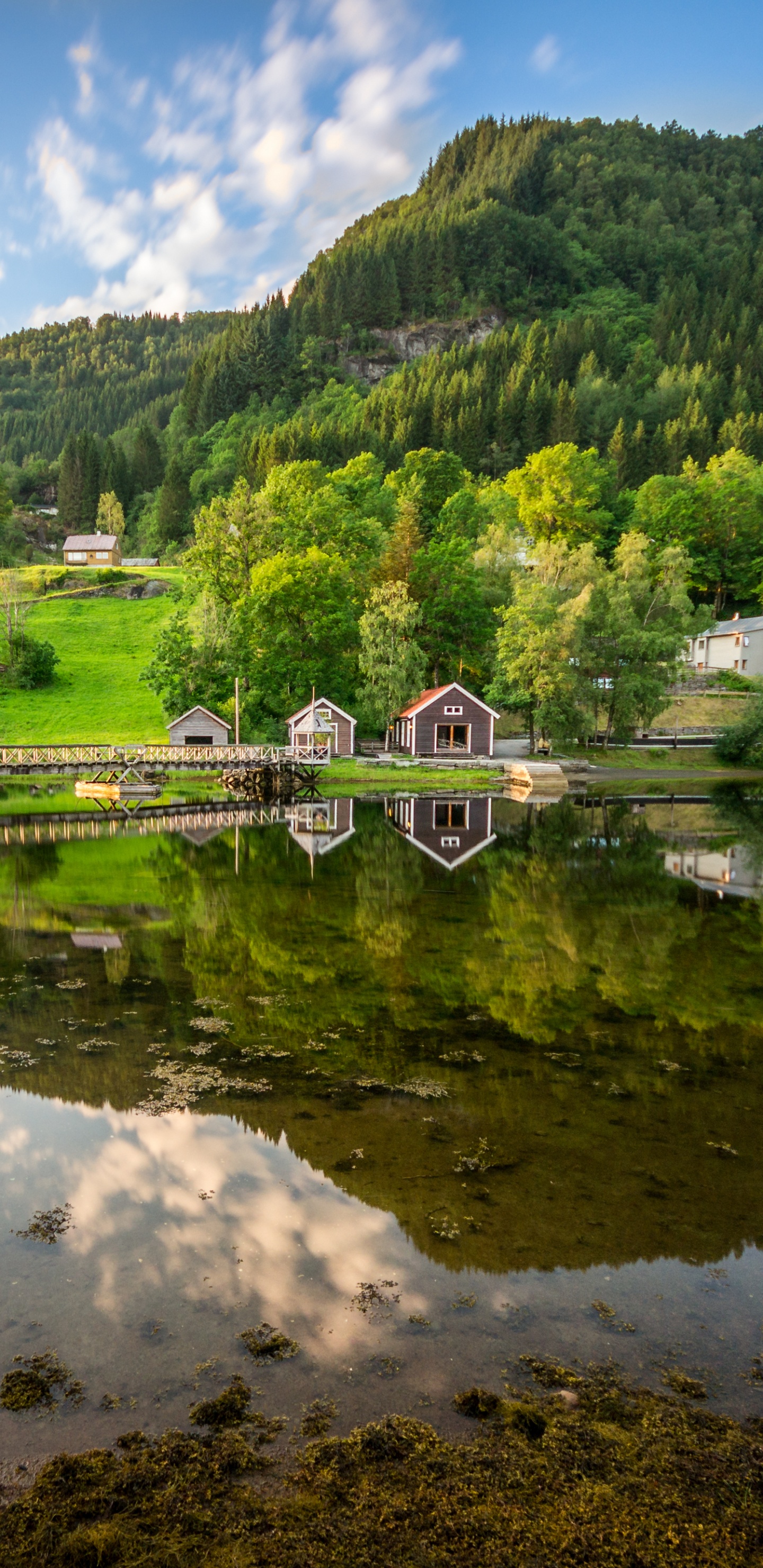 Обои природа, природный заповедник, отражение, водоем, природный ландшафт в разрешении 1440x2960