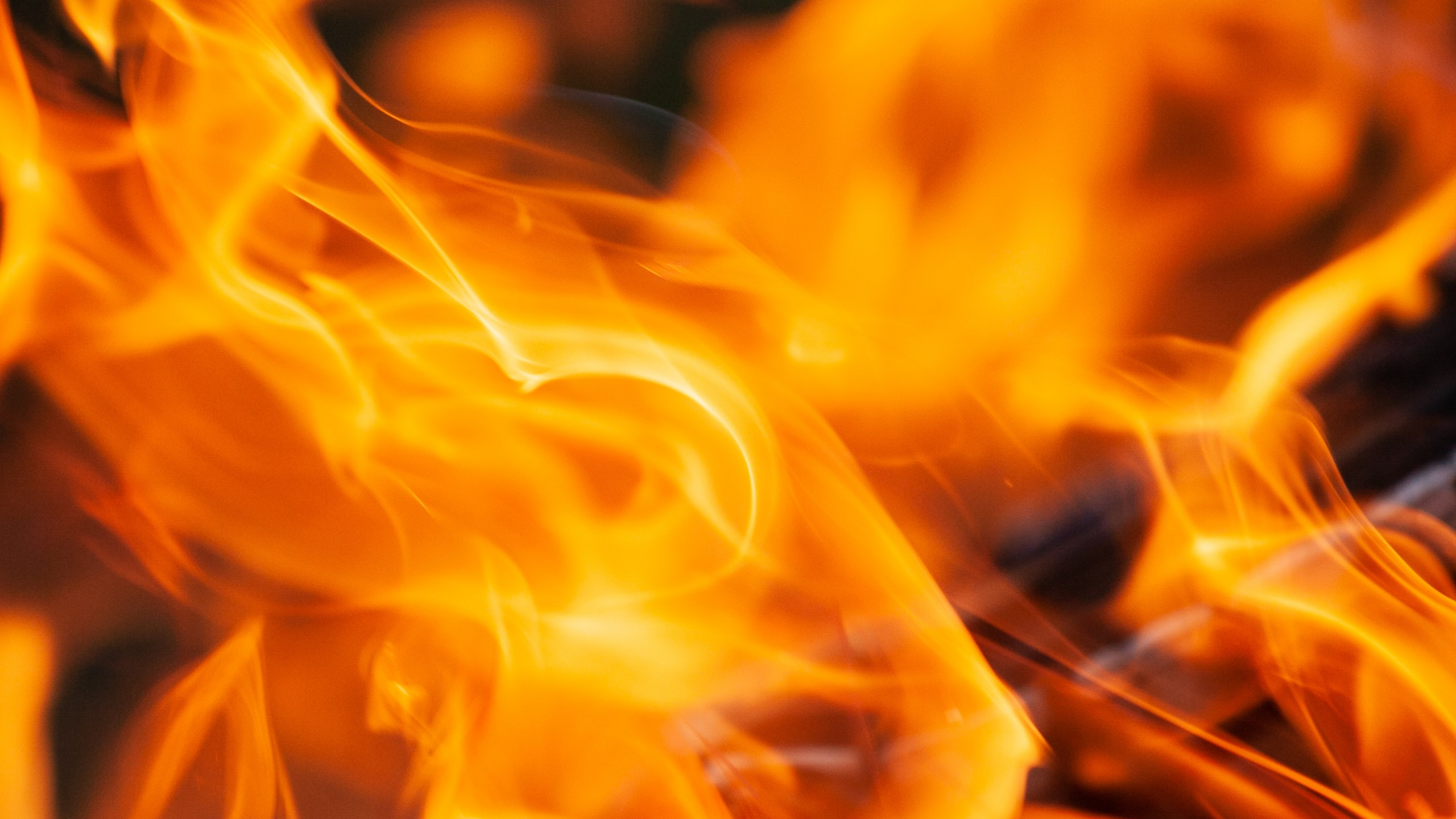 Обои огонь, пламя, тепло, телевидение, желтый в разрешении 2560x1440
