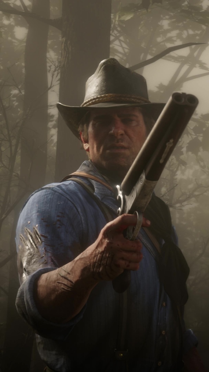 Обои red dead redemption 2, red dead redemption, Рокстар игры, лес, дымка в разрешении 720x1280