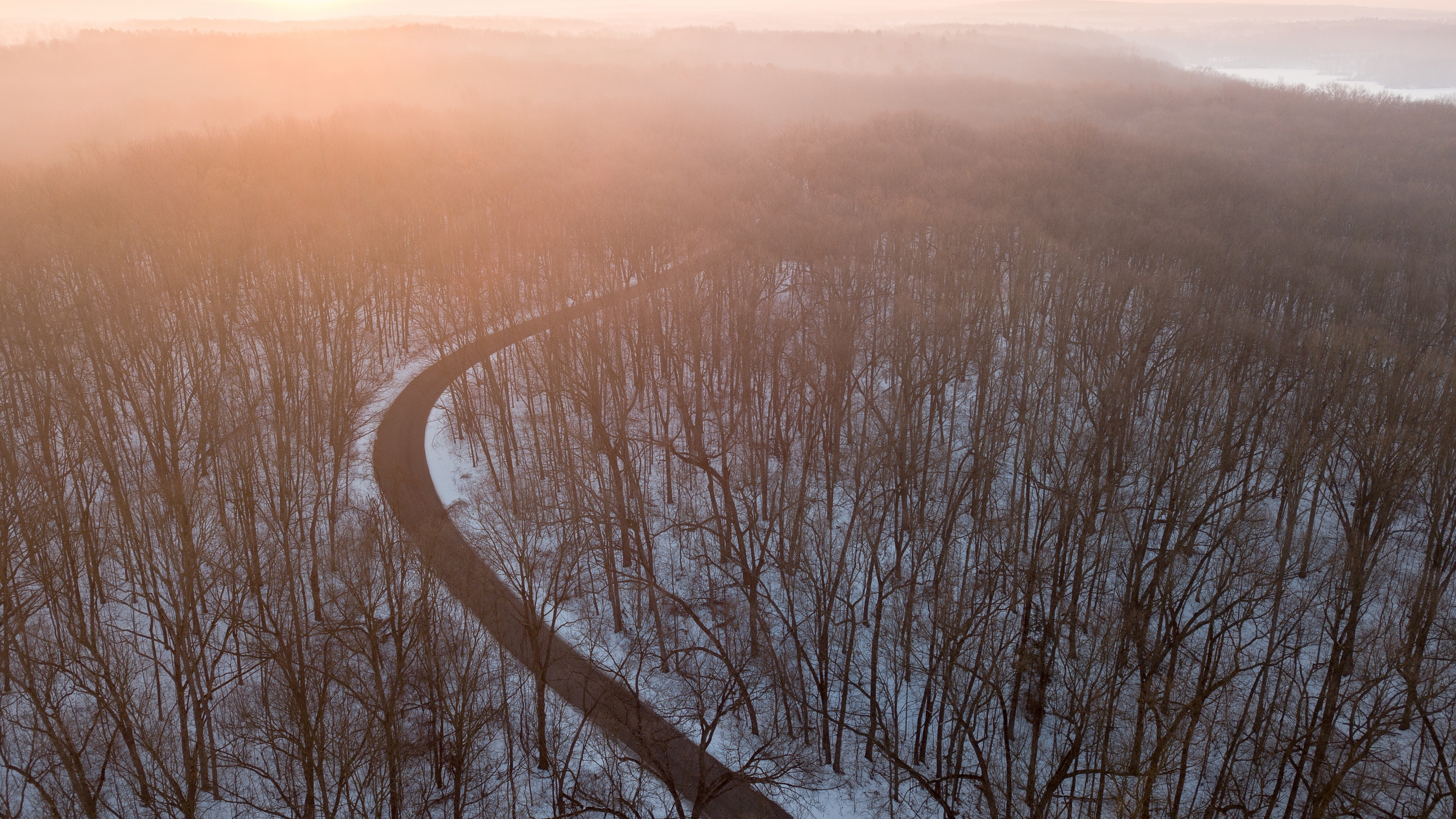 Обои дымка, утро, туман, дерево, атмосфера в разрешении 2560x1440