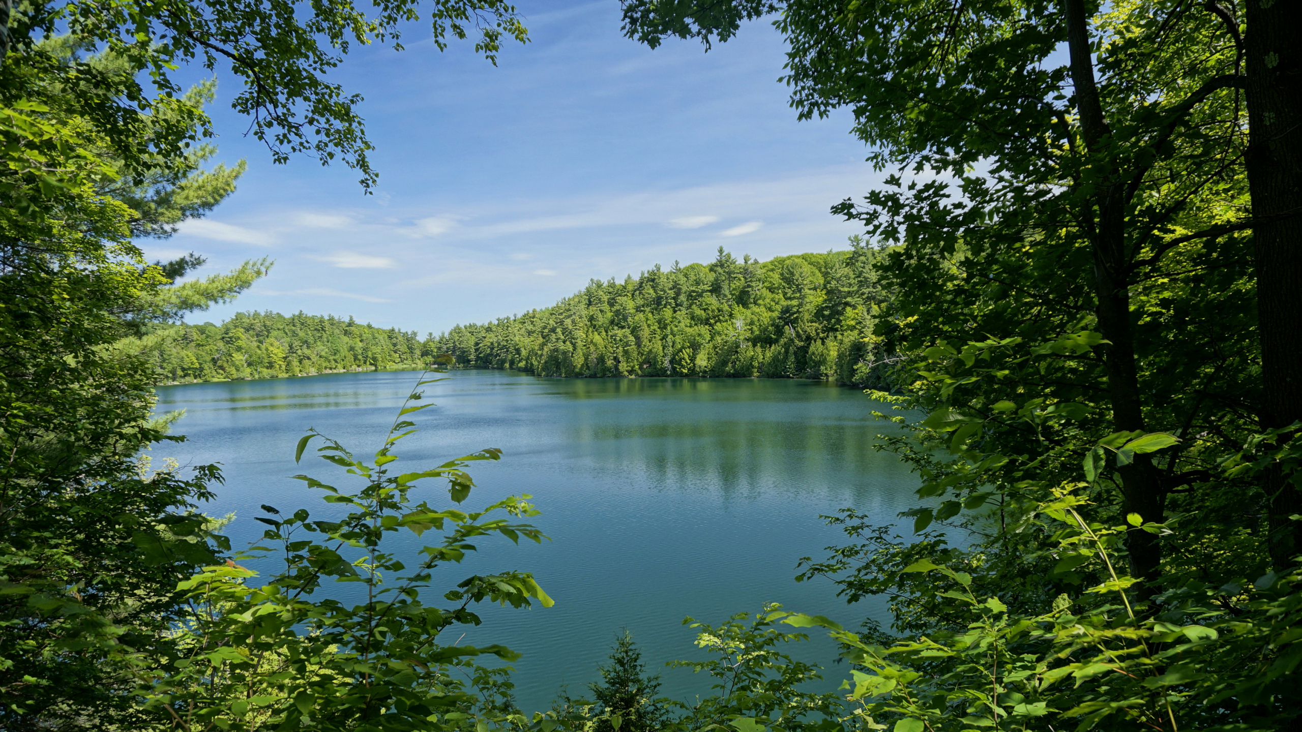 Обои озеро, природа, лес, природный заповедник, растительность в разрешении 2560x1440