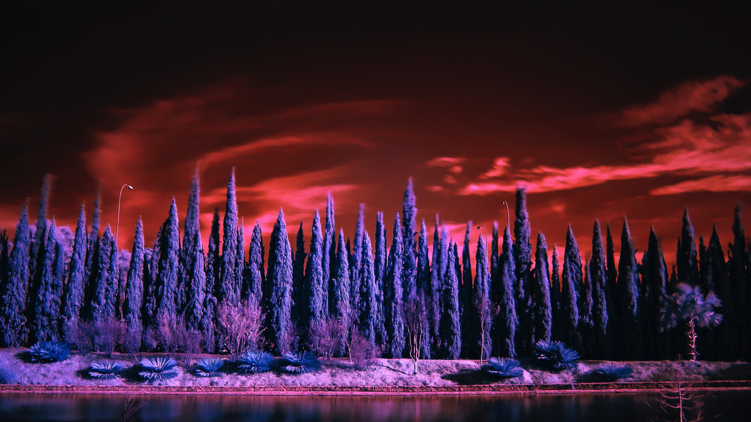 Обои природа, отражение, вода, пурпур, Фиолетовый в разрешении 2560x1440