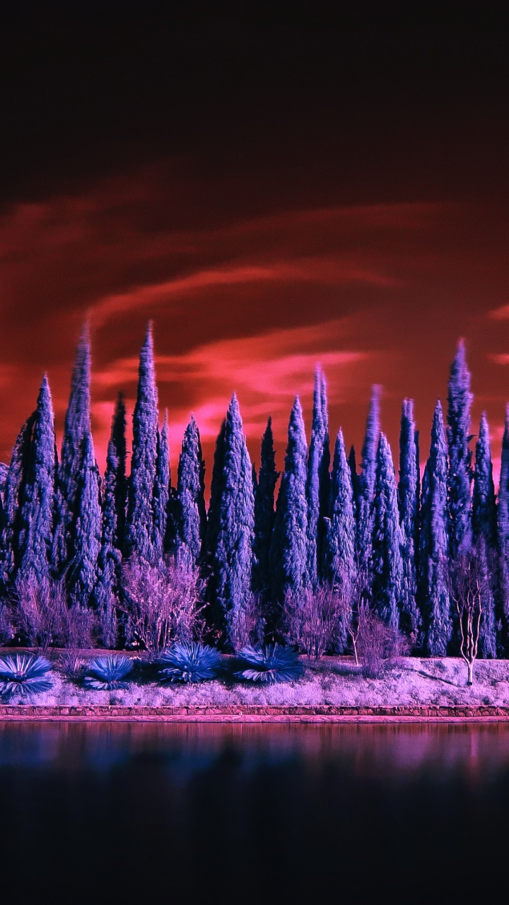 Обои природа, отражение, вода, пурпур, Фиолетовый в разрешении 720x1280