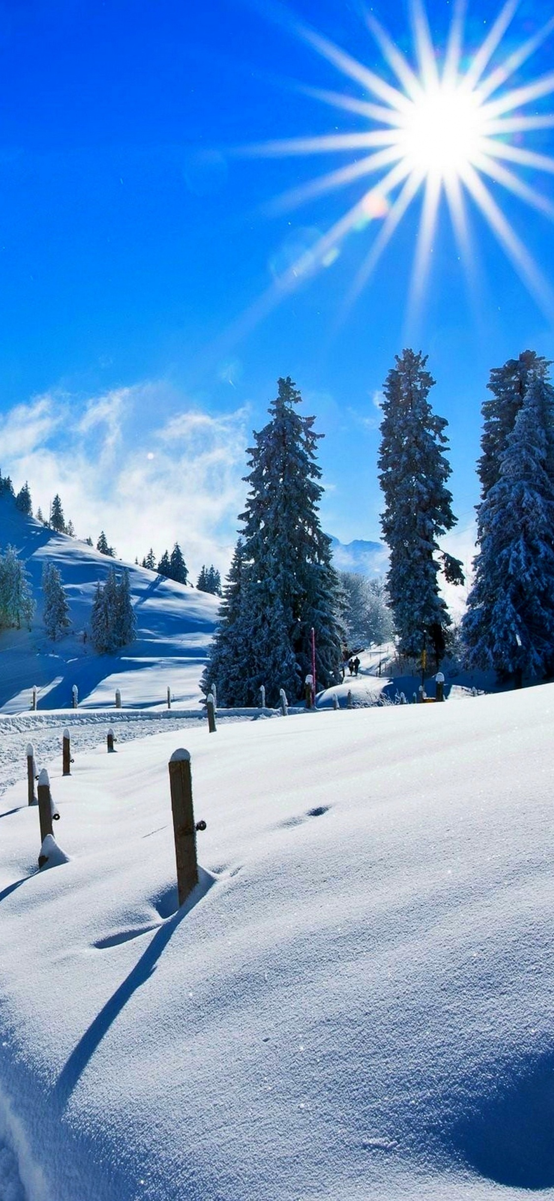 Обои снег, зима, лыжня, дерево, Альпы в разрешении 1125x2436