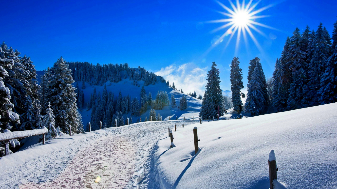 Обои снег, зима, лыжня, дерево, Альпы в разрешении 1366x768