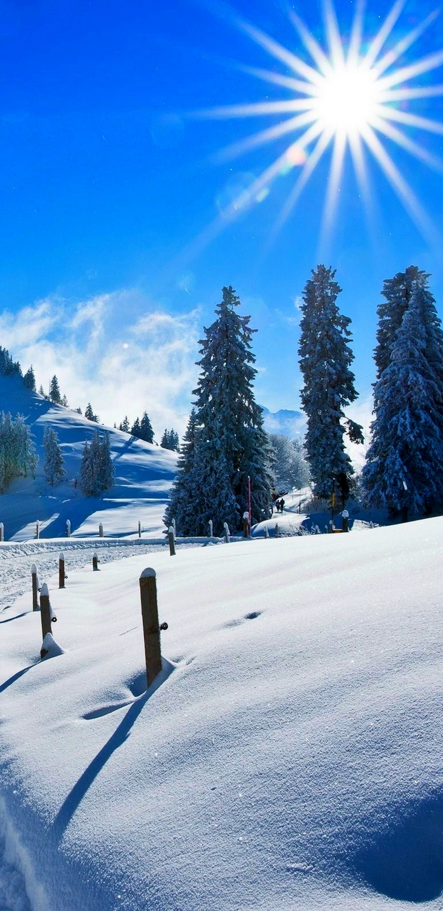 Обои снег, зима, лыжня, дерево, Альпы в разрешении 1440x2960