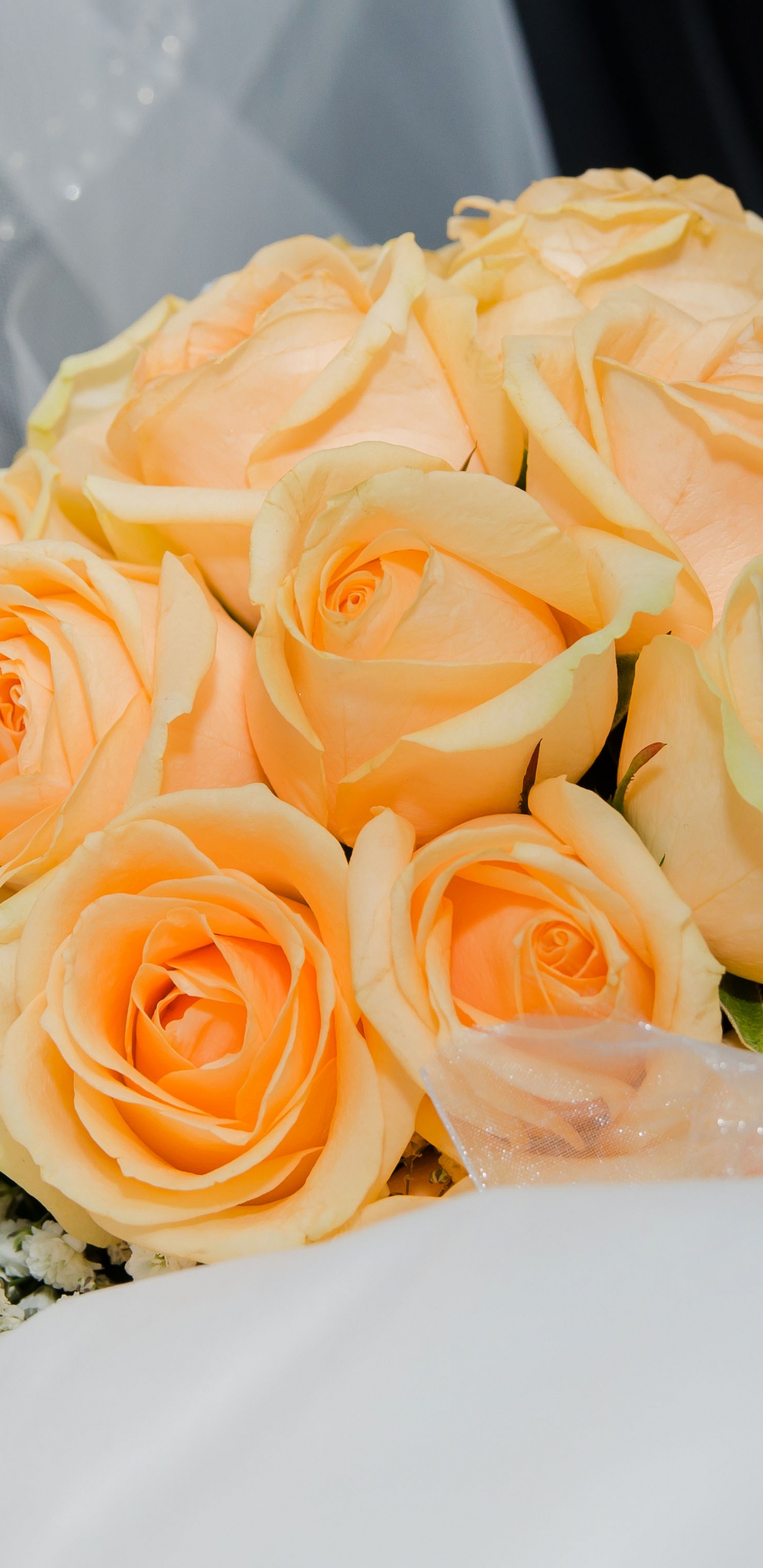 Обои цветочный букет, цветок, свадьба, сад роз, букет в разрешении 1440x2960