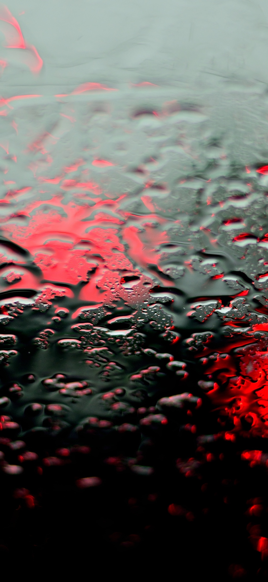 Обои влага, мелкий дождь, жидкий, растение, вода в разрешении 1125x2436