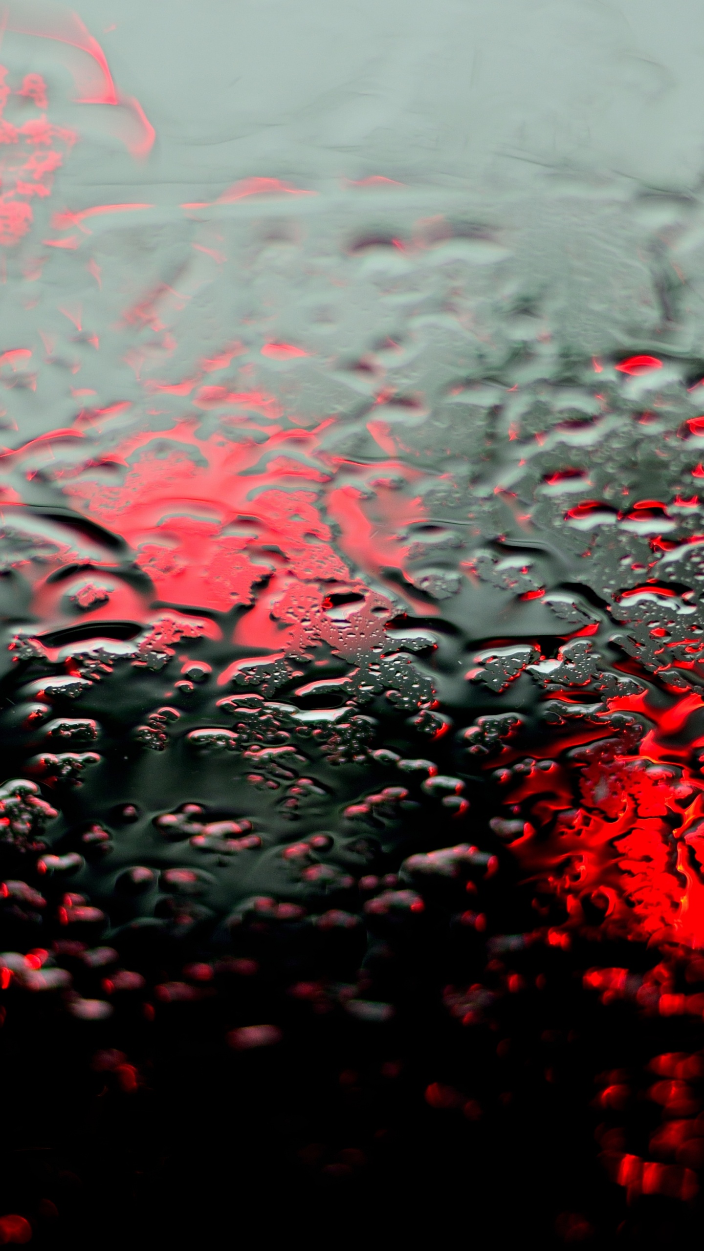 Обои влага, мелкий дождь, жидкий, растение, вода в разрешении 1440x2560