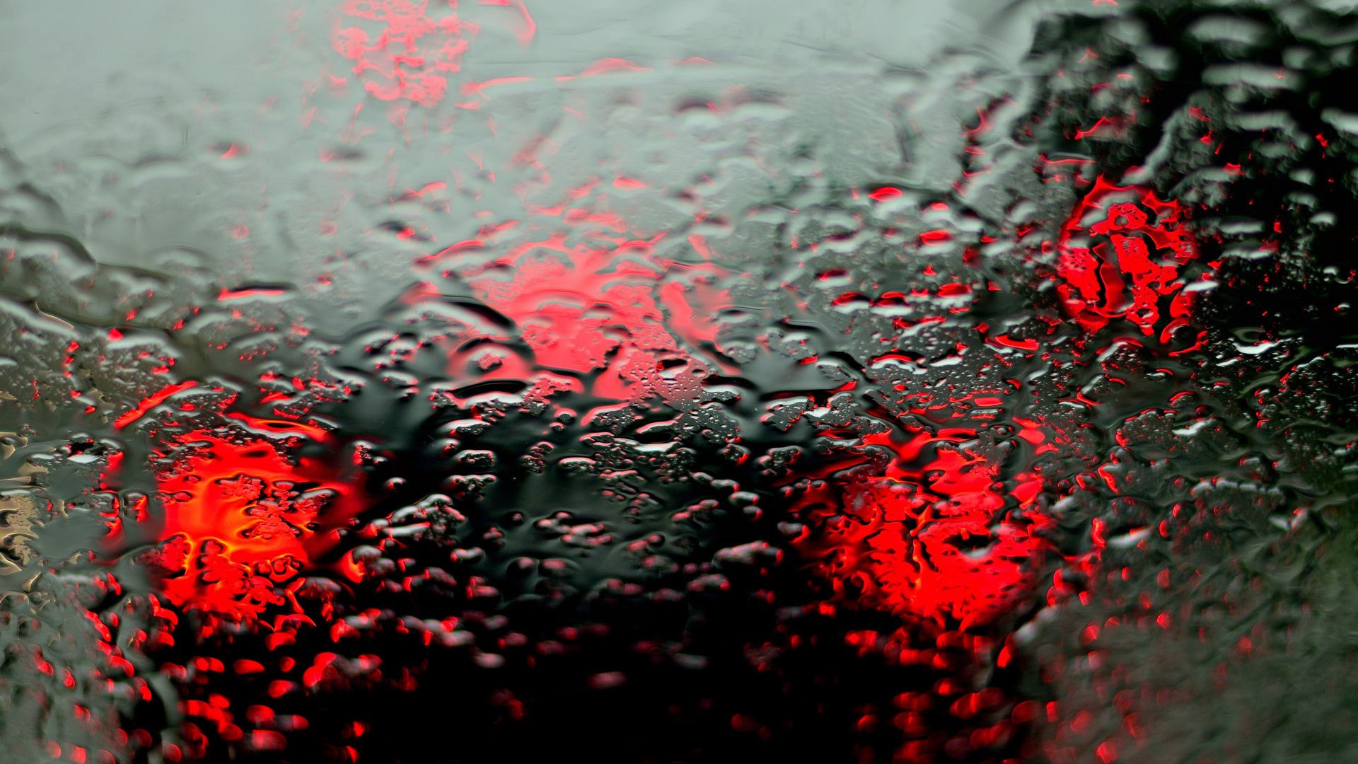 Обои влага, мелкий дождь, жидкий, растение, вода в разрешении 1920x1080