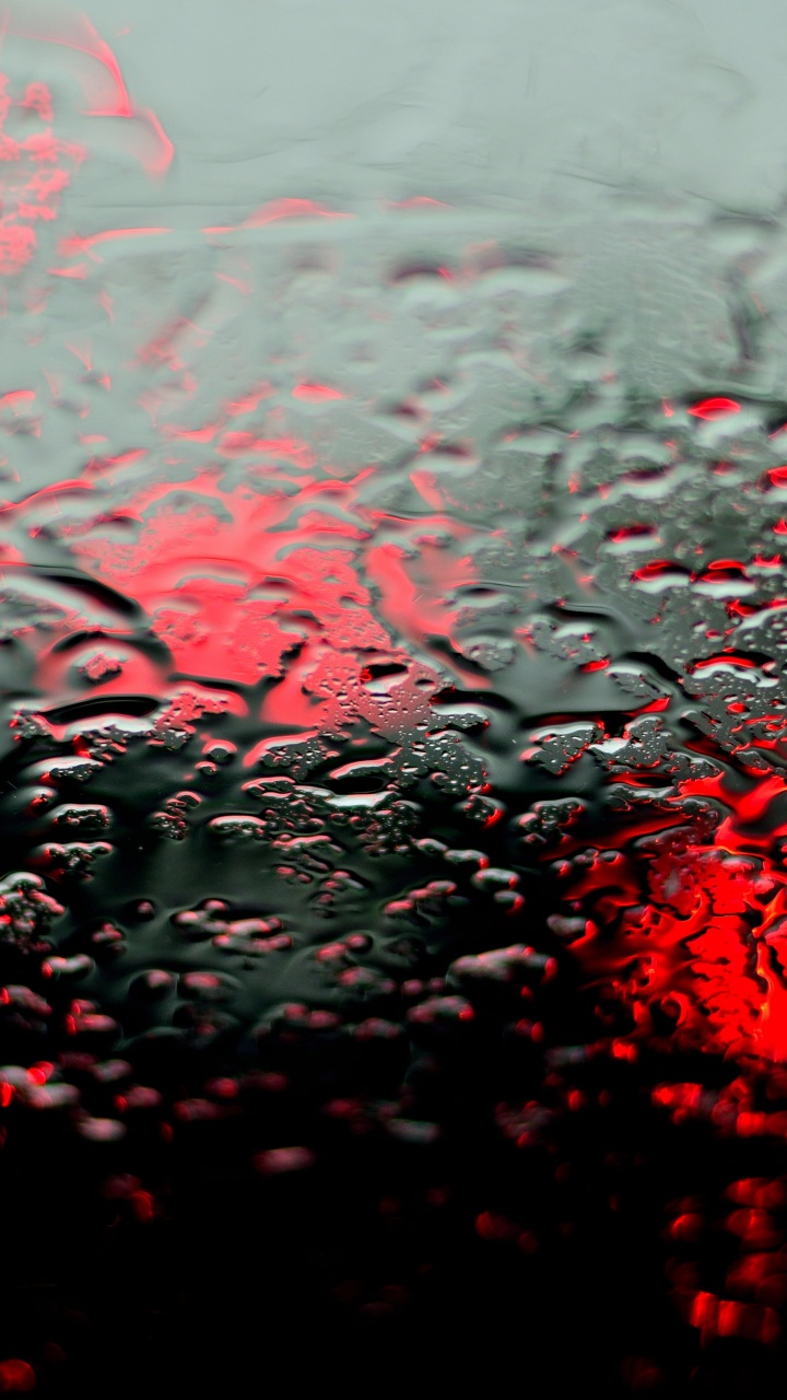 Обои влага, мелкий дождь, жидкий, растение, вода в разрешении 720x1280