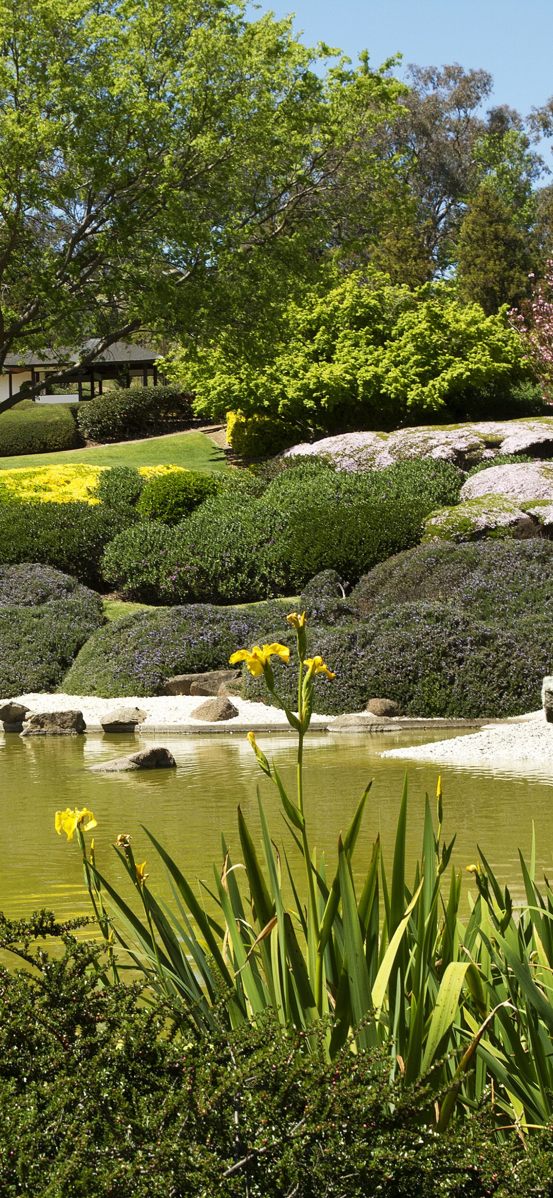 Обои Ботанический сад, природа, сад, растительность, вода в разрешении 1125x2436