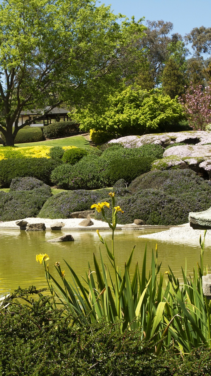 Обои Ботанический сад, природа, сад, растительность, вода в разрешении 720x1280