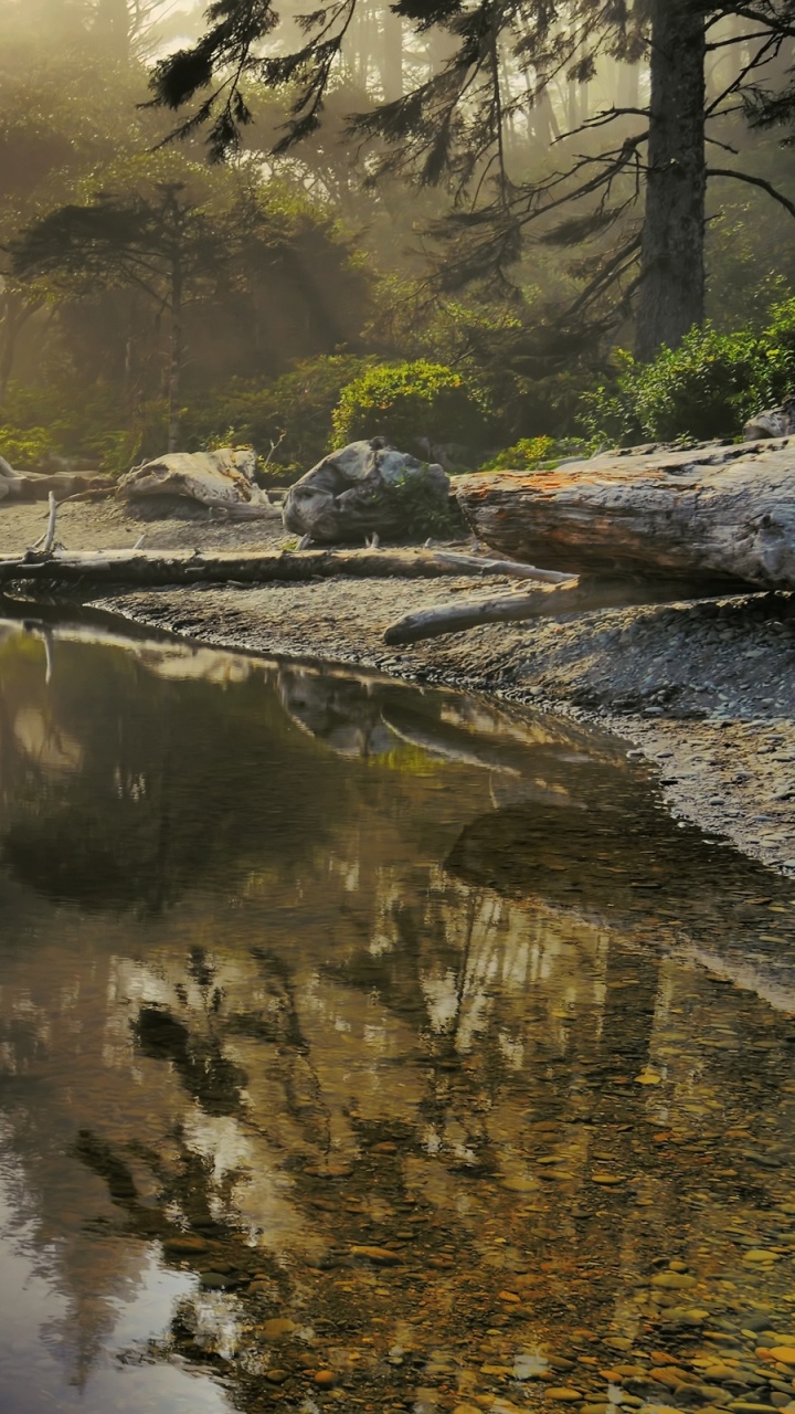 Обои отражение, природа, вода, утро, Банк в разрешении 720x1280