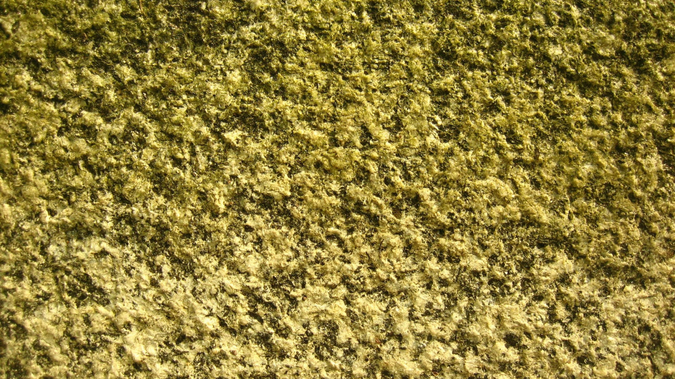 Обои текстура, мрамор, камень, трава, рок в разрешении 1366x768