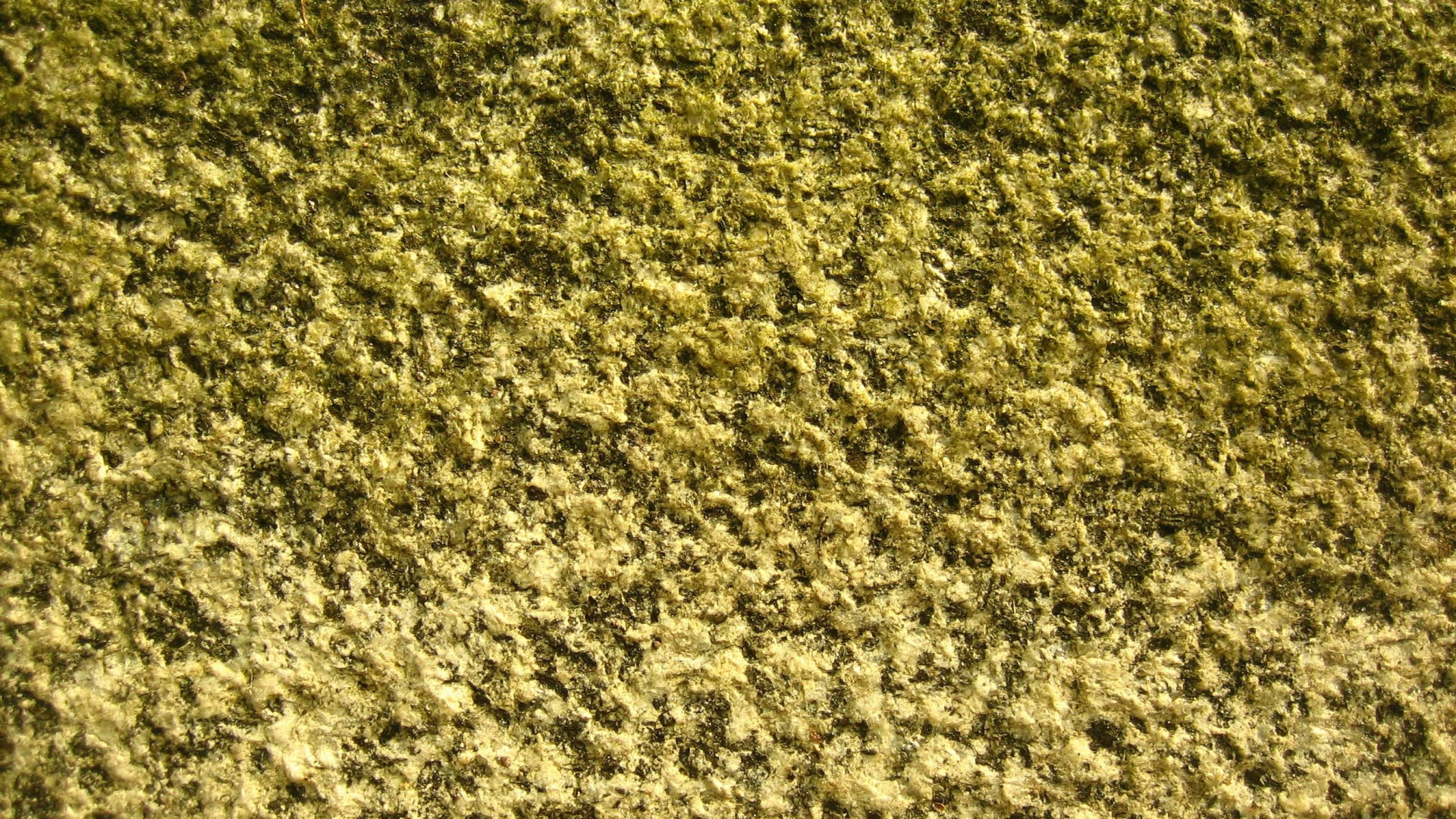 Обои текстура, мрамор, камень, трава, рок в разрешении 1920x1080