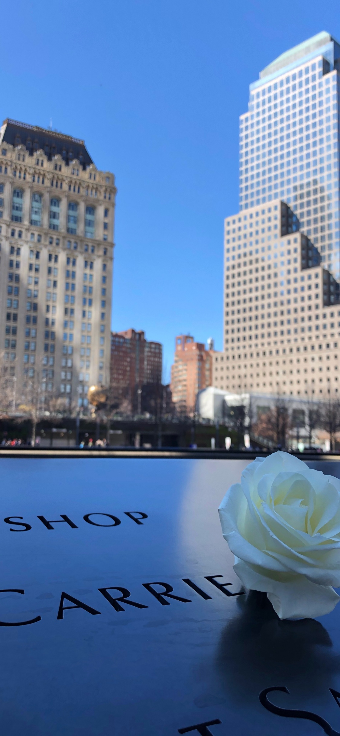 Обои отражение, город, дневное время, синий, небоскреб в разрешении 1125x2436