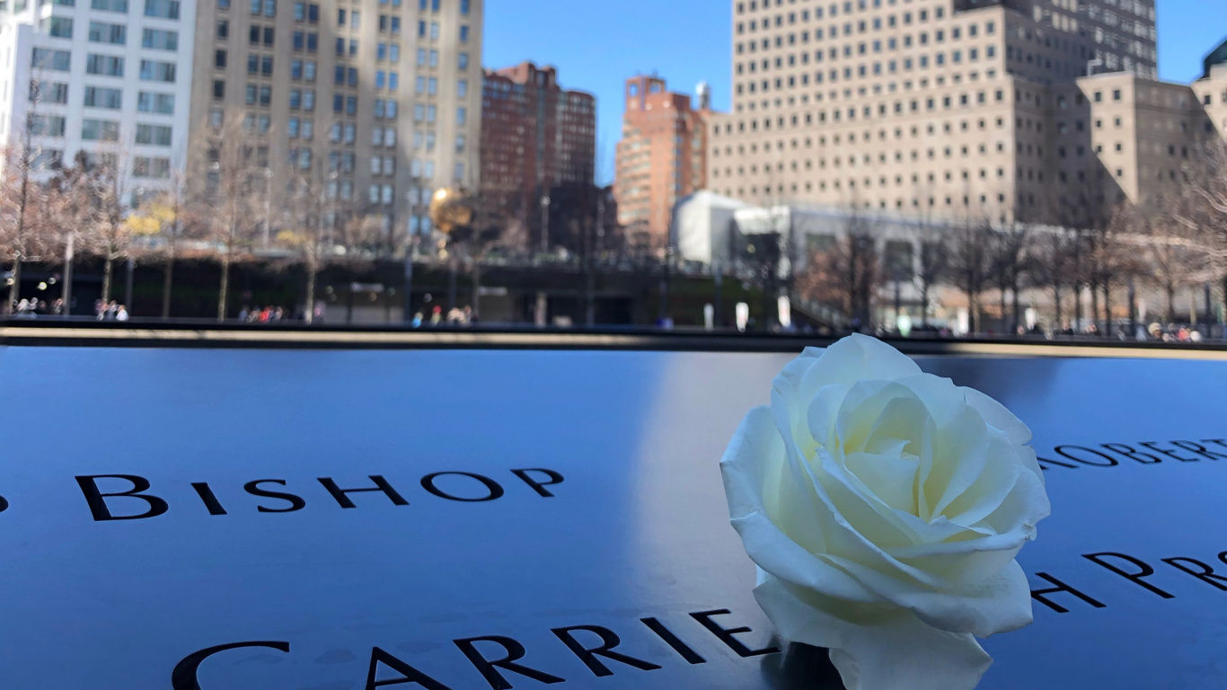 Обои отражение, город, дневное время, синий, небоскреб в разрешении 1366x768