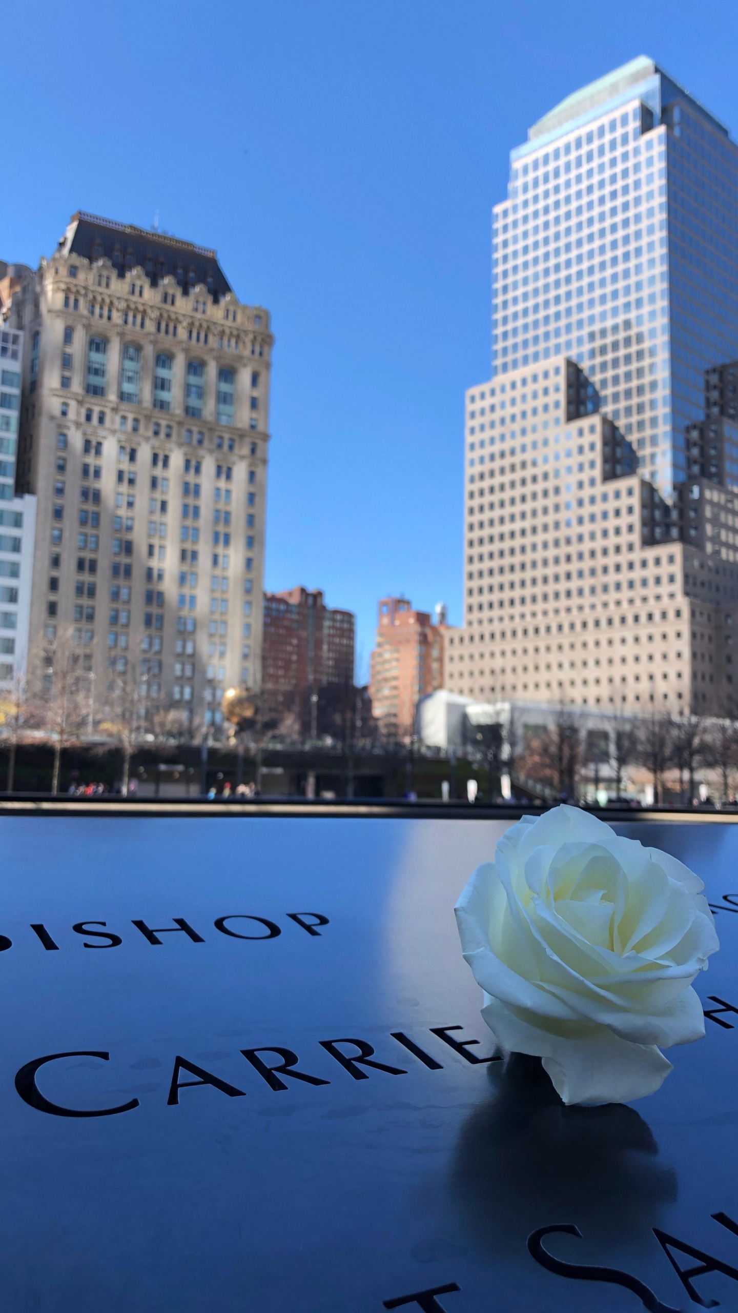 Обои отражение, город, дневное время, синий, небоскреб в разрешении 1440x2560