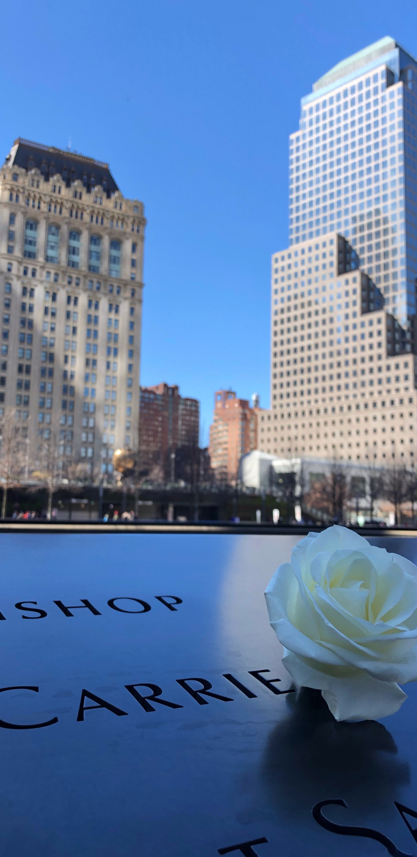 Обои отражение, город, дневное время, синий, небоскреб в разрешении 1440x2960