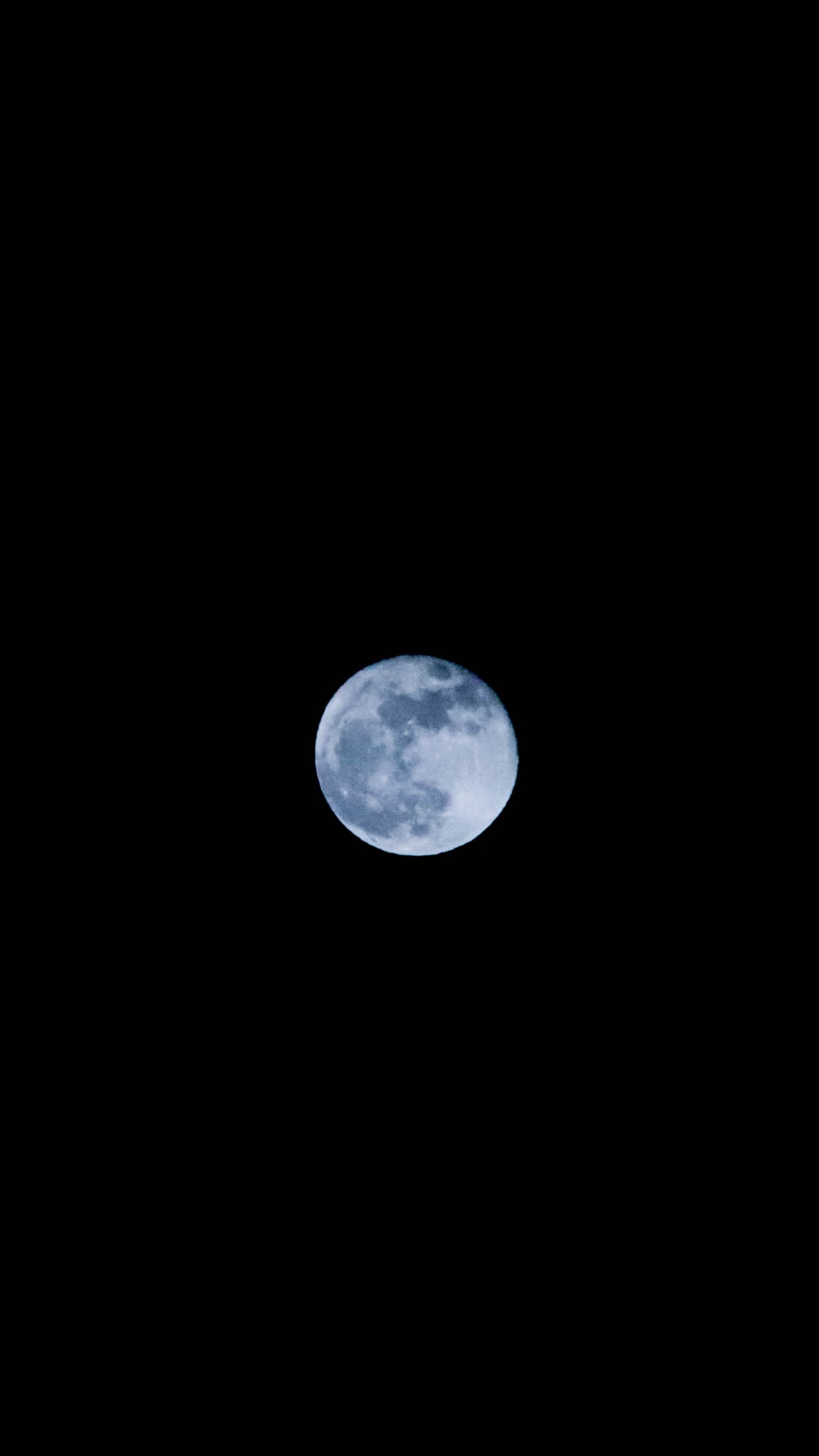 Обои В Moonlight Meadery Курц Яблочный Пирог, луна, астрономический объект, свет, лунный свет в разрешении 1080x1920