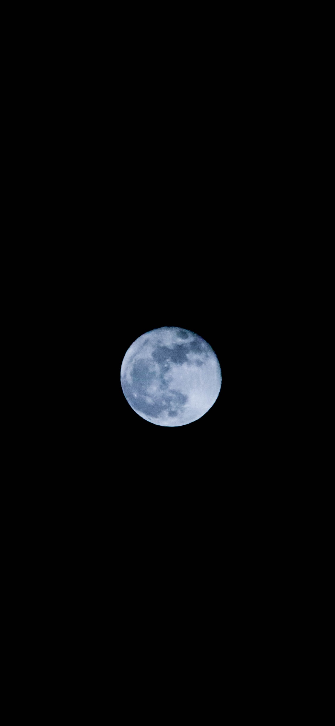 Обои В Moonlight Meadery Курц Яблочный Пирог, луна, астрономический объект, свет, лунный свет в разрешении 1125x2436