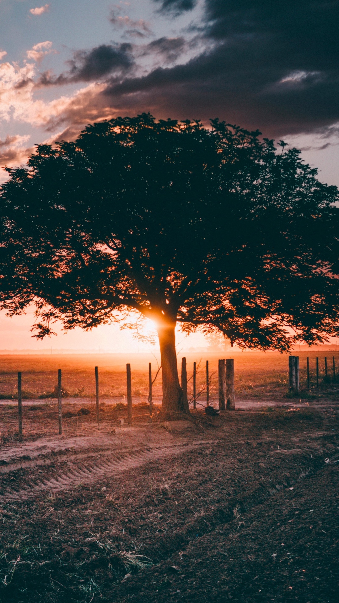 Обои осенний вечер, вечер, облако, атмосфера, экорегион в разрешении 1080x1920